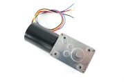 NFP-5840-3650 mini worm gear motor