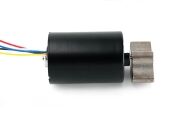 NFP-BL3650-FS long life vibration motor