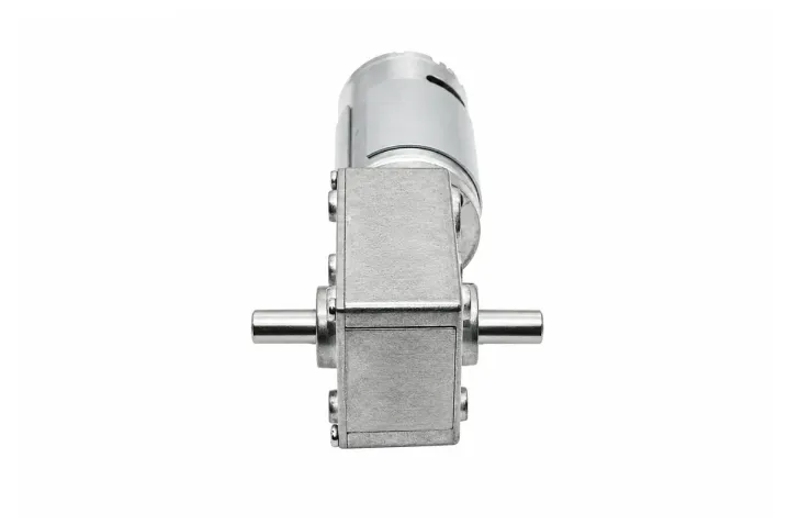worm gear dc motor 12V 24V dc dual shafts