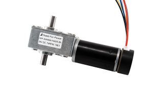 5840 Gearbox Worm Gear Motor Dual Long Shafts Available